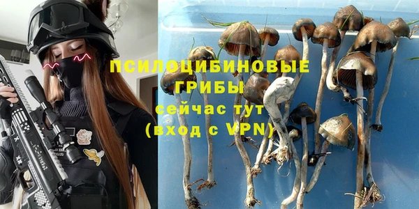 тгк Аркадак